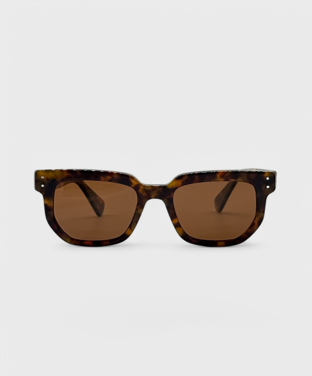 Napa - Brown tortoise
