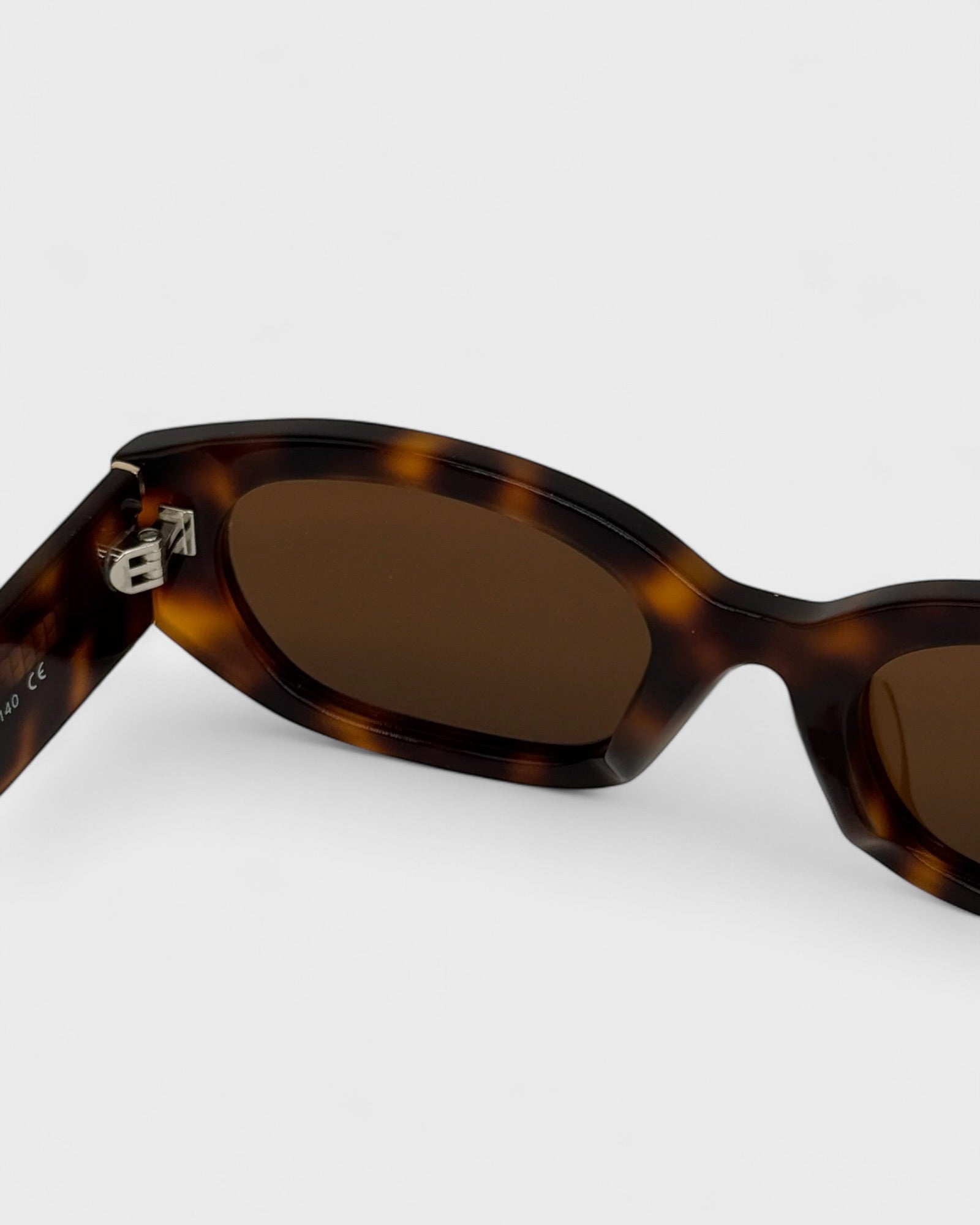 Rome - Brown tortoise