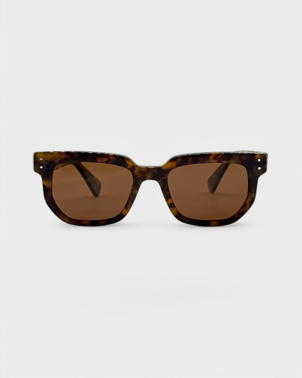 Napa - Brown tortoise