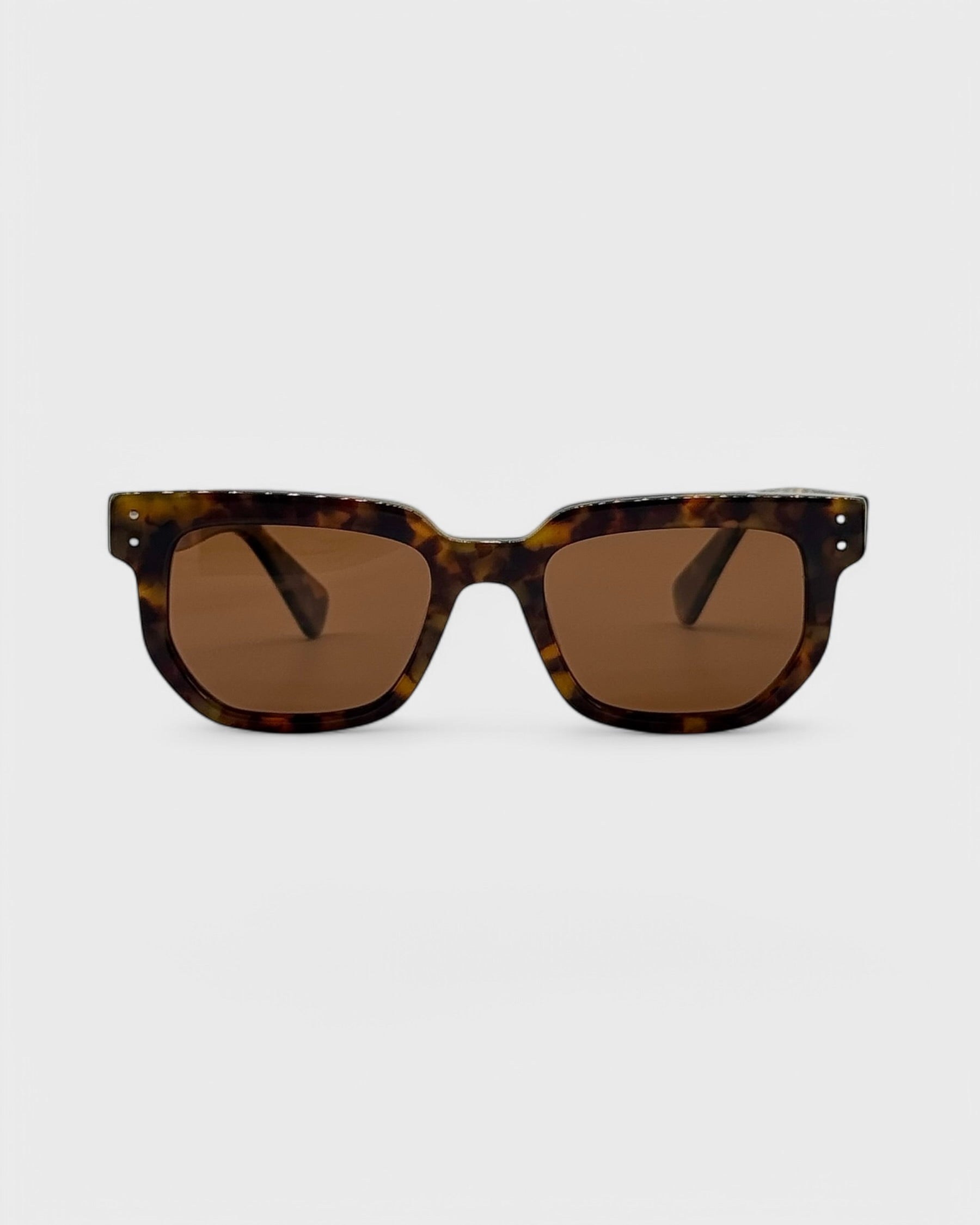 Napa - Brown tortoise