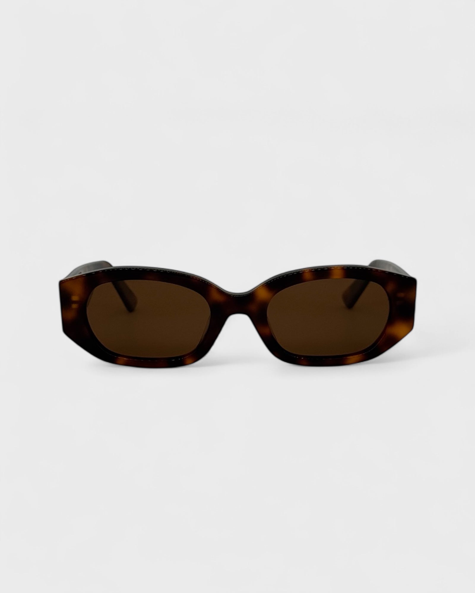 Rome - Brown tortoise